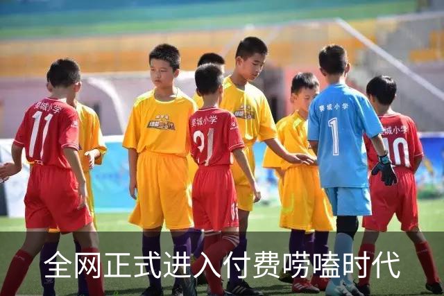 全网正式进入付费唠嗑时代