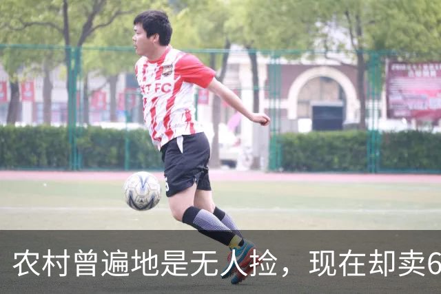 农村曾遍地是无人捡，现在却卖60元一斤，老农：这是“植物燕窝”