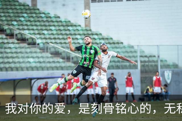 我对你的爱，是刻骨铭心的，无私奉献的